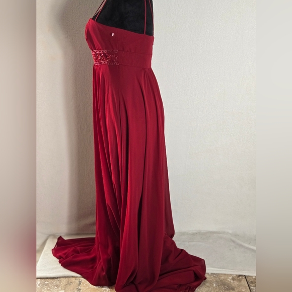 David's Bridal Spaghetti Strap Chiffon Beaded Empire - Picture 4 of 5